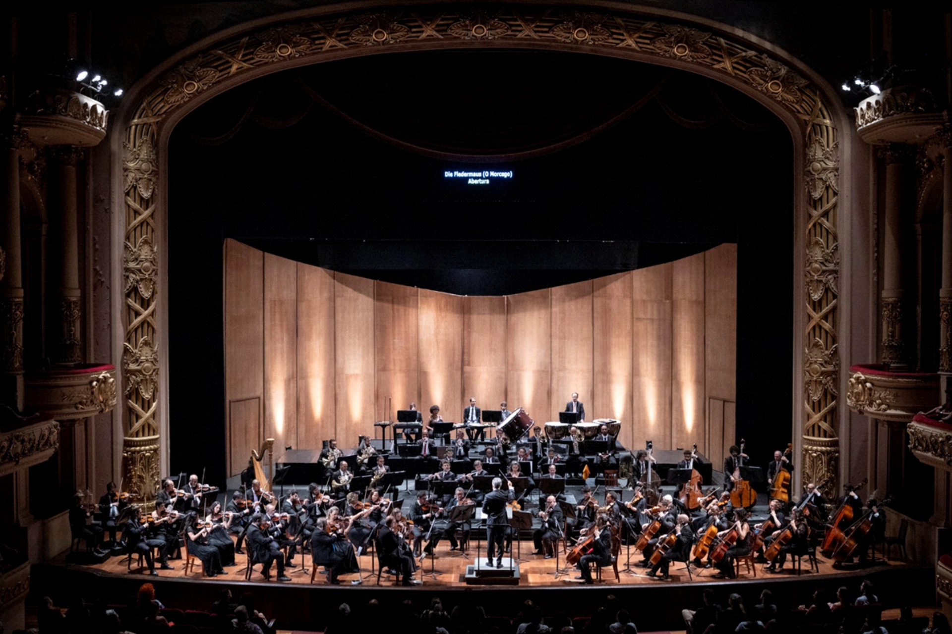 Theatro Municipal do Rio de Janeiro revela temporada 2025