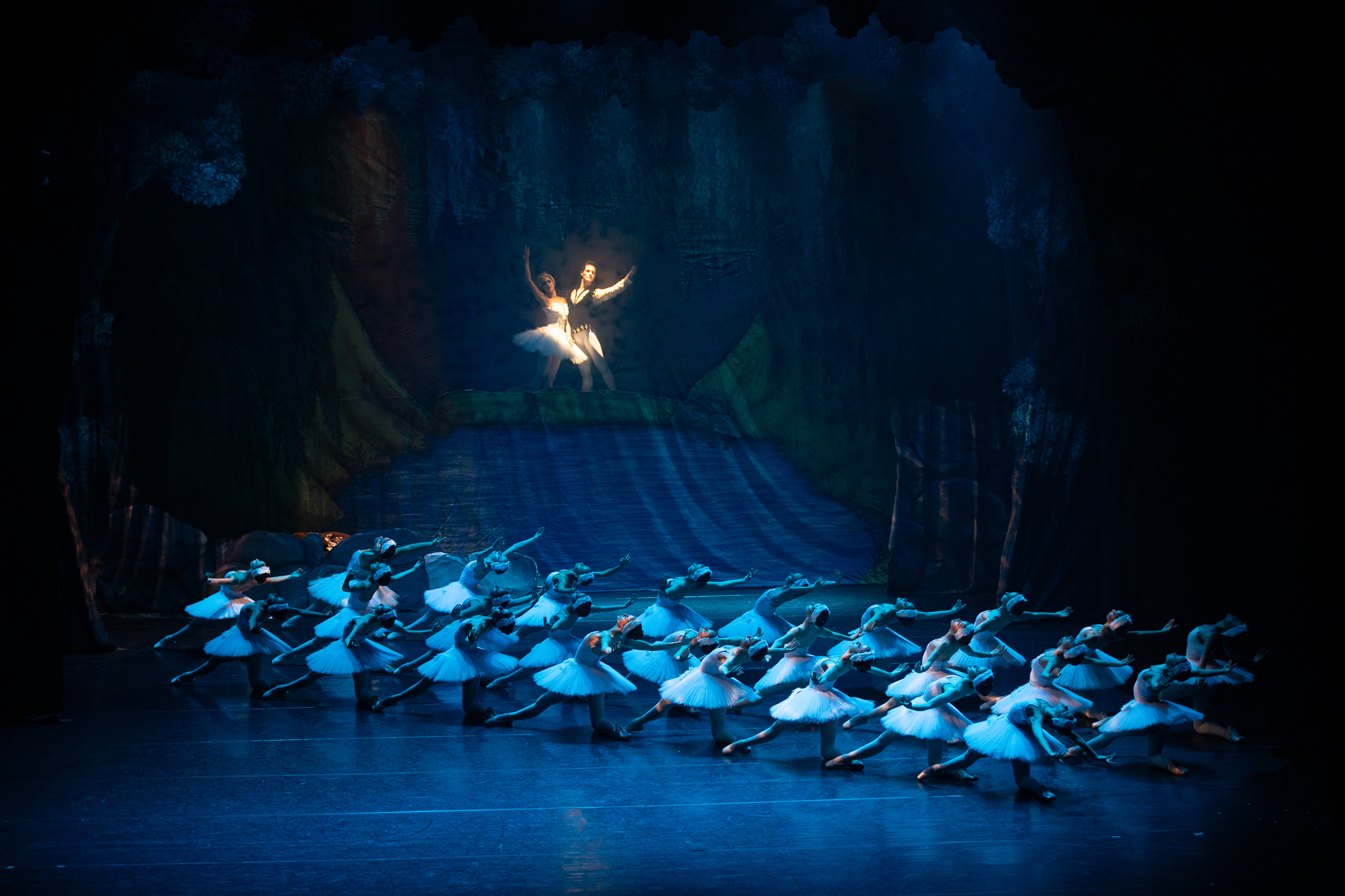Plumas, paixão e acrobacias: clássico " O Lago dos Cisnes" retorna em maio ao palco do Sérgio Cardoso